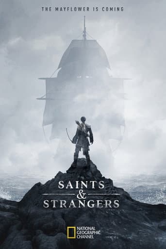 Poster for Miniseries