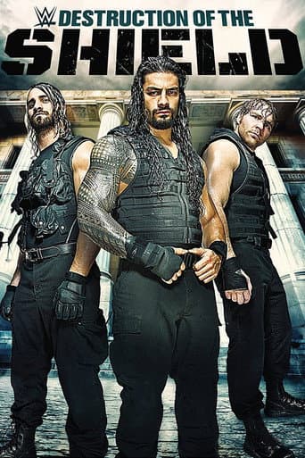 Poster for The Destruction of The Shield