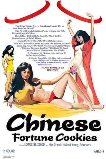 Poster for Chinese Fortune Cookies