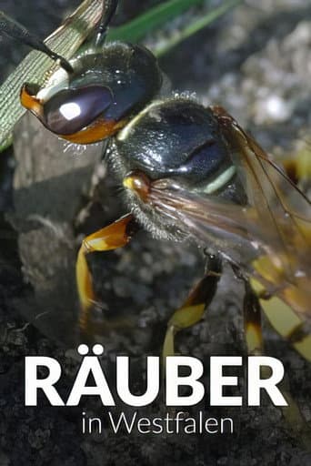 Poster for Räuber in Westfalen - Neues Leben in Panzerspuren
