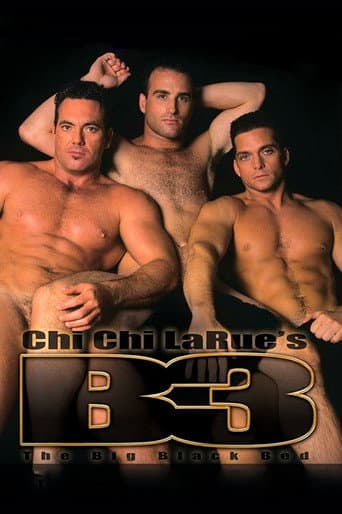 Poster for The Big Black Bed