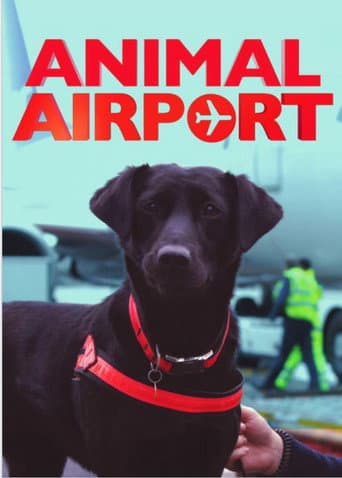 Poster for Animal Airport
