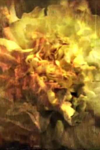 Poster for And the Sun Flowers