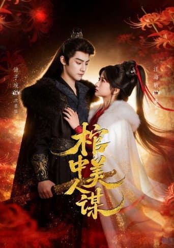 Poster for 棺中美人谋