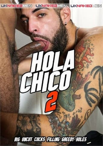 Poster for Hola Chico 2