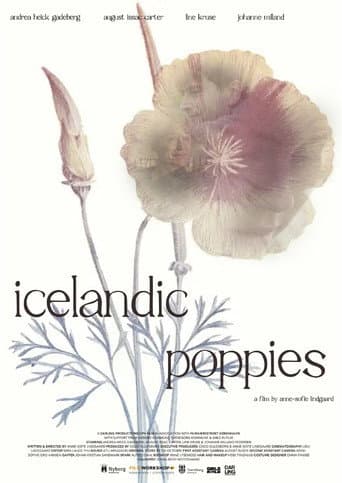 Poster for Icelandic Poppies