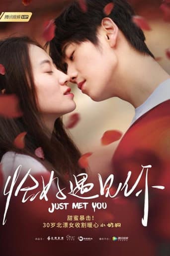Poster for Just Met You