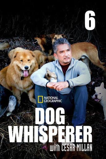Poster for Season 6