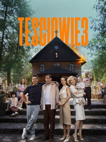 Poster for The In-Laws 3