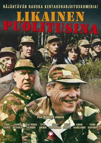 Poster for Likainen puolitusina