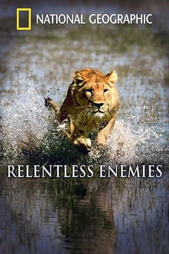 Poster for Relentless Enemies: Lions and Buffalo