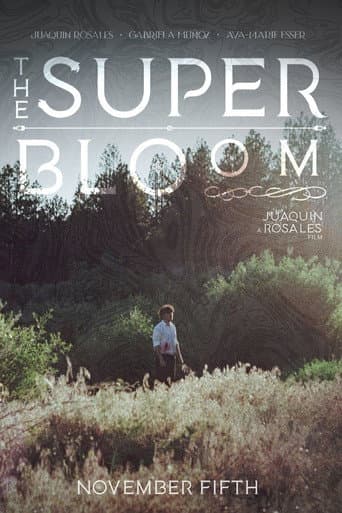 Poster for The Superbloom