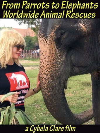 Poster for From Parrots to Elephants: Worldwide Animal Rescues