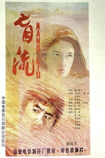 Poster for 盲流