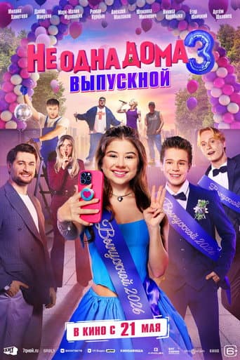 Poster for Home Not Alone 3