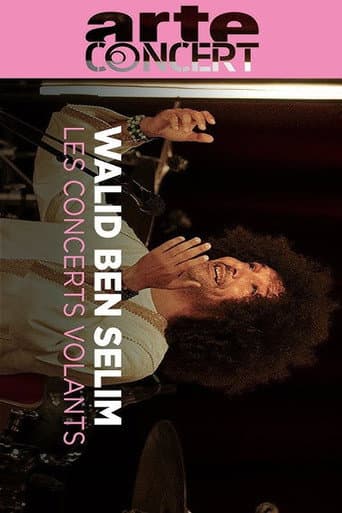 Poster for Walid Ben Selim @ Journeys Through Music