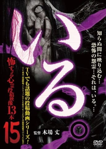 Poster for 「Iru.」~ Kowasugiru Tōkō Eizō 13-hon ~ Vol.15