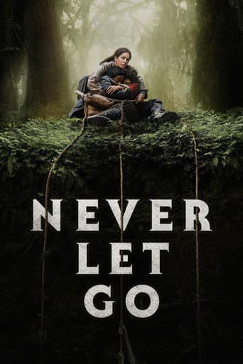 Poster for Never Let Go