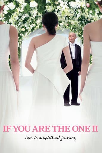 Poster for If You Are the One 2