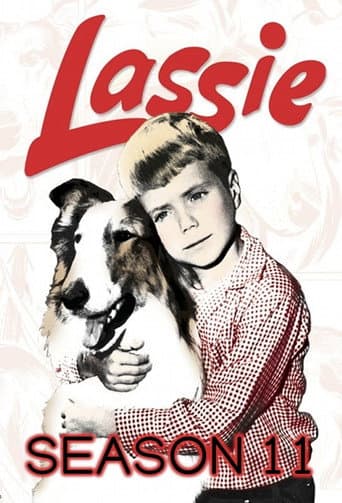 Poster for Season 11