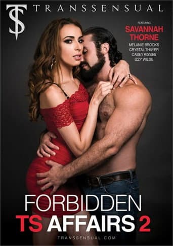 Poster for Forbidden TS Affairs 2