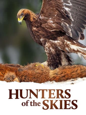 Poster for Hunters of the Skies