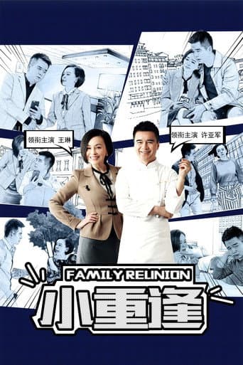 Poster for Family Reunion