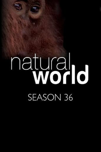Poster for Season 36
