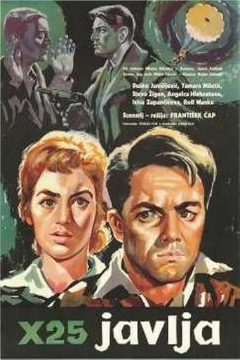 Poster for X-25 Reports