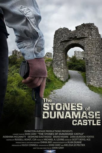 Poster for The Stones of Dunamase Castle