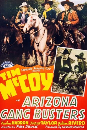 Poster for Arizona Gang Busters