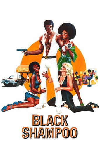 Poster for Black Shampoo