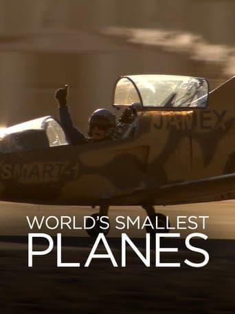 Poster for World's Smallest Planes