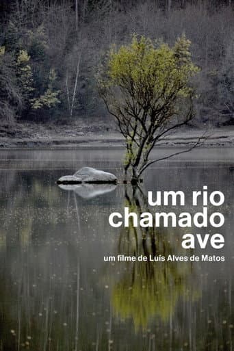 Poster for Um Rio Chamado Ave