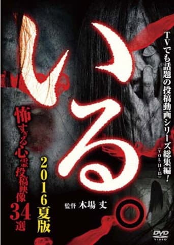 Poster for 「Iru.」(Vol.11-15) Sōshūhen 2016 Natsu-ban Kowasugiru Shinrei Tōkō Eizō 34-sen