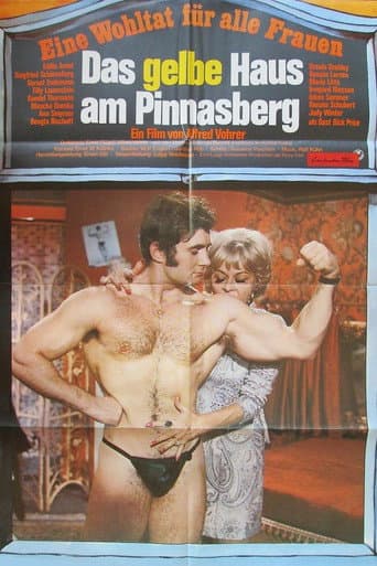 Poster for Das gelbe Haus am Pinnasberg