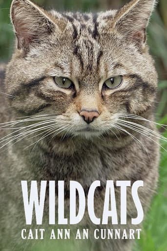 Poster for Wildcats: Cait ann an Cunnart