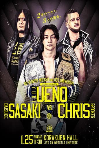 Poster for DDT Mission in Battle ~new year splendor~