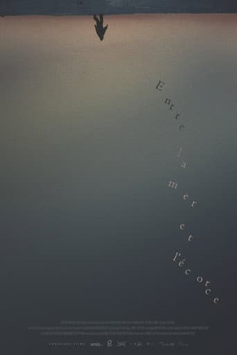 Poster for Between the Sea and the Bark