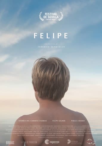 Poster for FELIPE