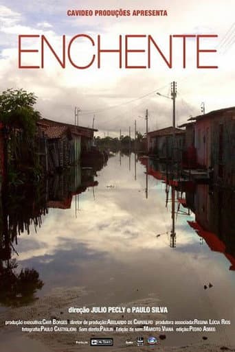Poster for Enchente