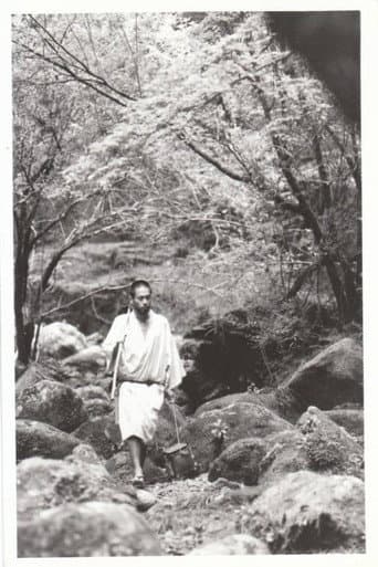 Poster for Kumagusu