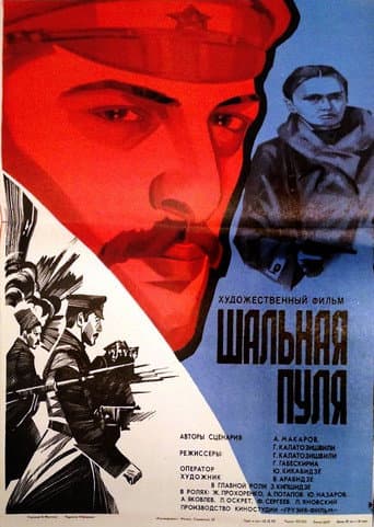 Poster for Stray Bullet