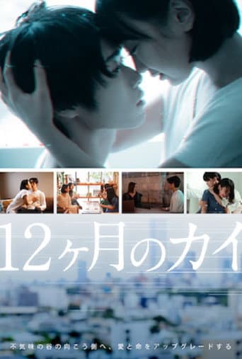 Poster for 12 Months of KAI