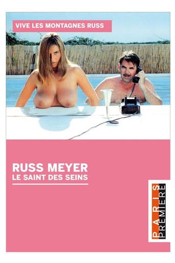 Poster for Russ Meyer - Le Saint Des Seins