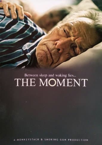 Poster for The Moment