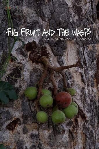 Poster for Fig Fruit and The Wasps
