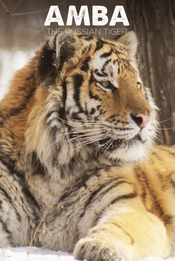 Poster for Amba: The Russian Tiger
