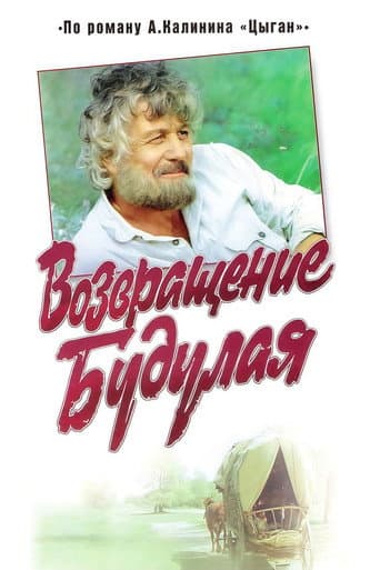 Poster for Return of Budulai