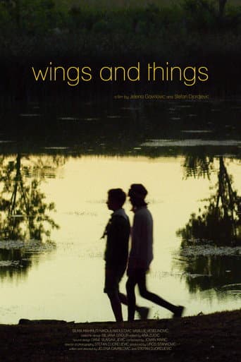 Poster for Wings and Things